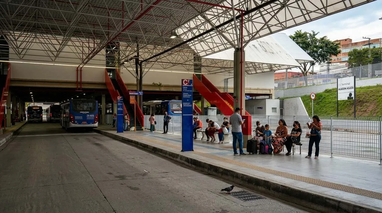 Osasco anuncia substituição de 100 árvores em parceria com a Enel Osasco inicia projeto de substituição de 100 árvores em parceria com a Enel