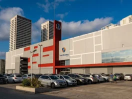 Osasco lança projeto para trocar 100 árvores até outubro de 2026 Lau Alencar celebra a posse de novos agentes em Osasco