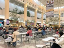 Osasco enfrenta crise cultural após descarte de 40 mil livros Capa do artigo sobre a crise cultural em Osasco após descarte de livros